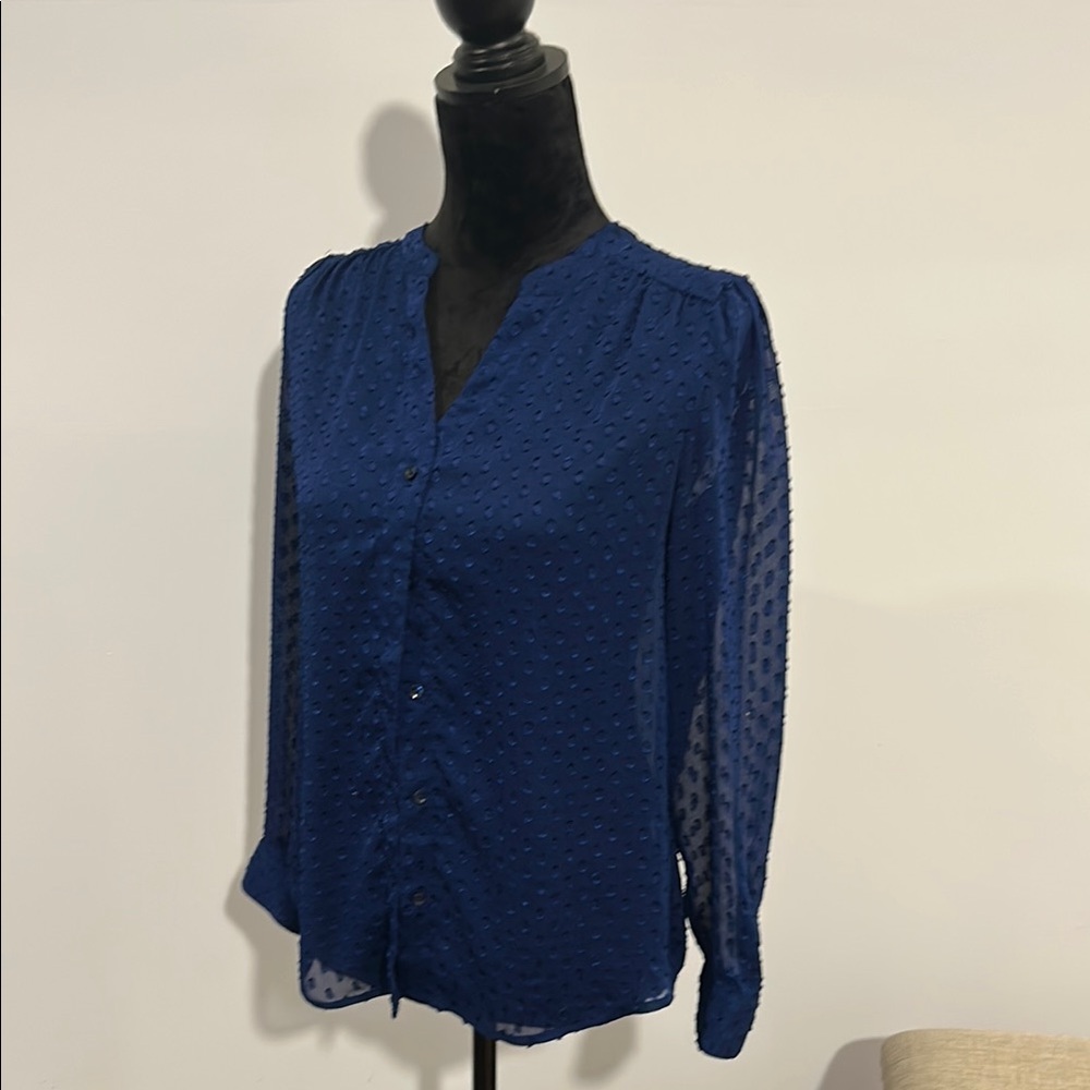 Elegant Blue Sheer Women's Top